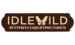 Idlewild Butterfly Farms & Insectarium